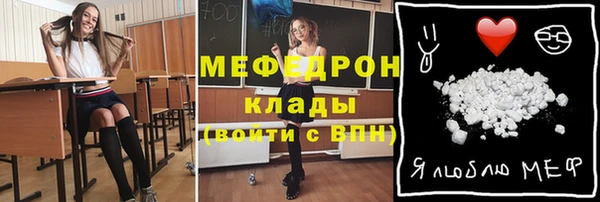 мет Алексин
