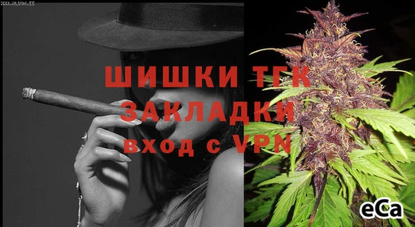 дмт Абаза