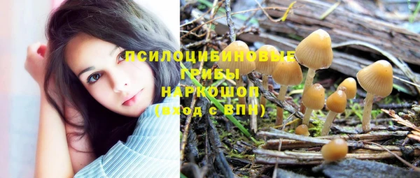 герыч Абинск