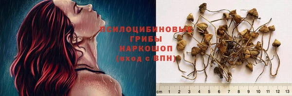 дмт Абаза