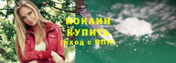 стаф Алзамай