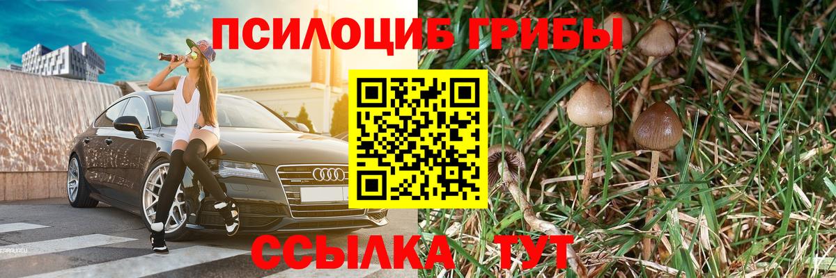 Галлюциногенные грибы мицелий  Псилоцибиновые грибы Magic Shrooms  Зеленокумск  Вход с VPN 