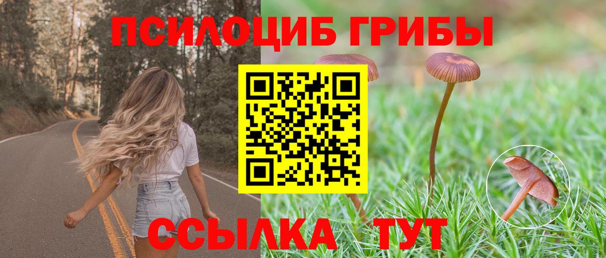Псилоцибиновые грибы Psilocybe Зеленокумск